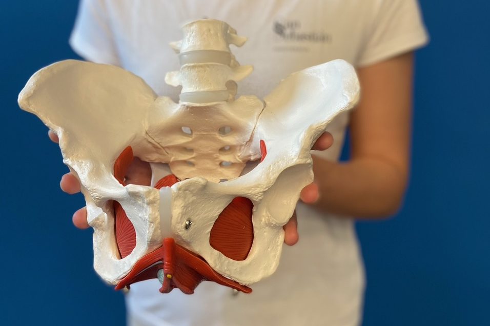 Fisioterapia en suelo pelvico